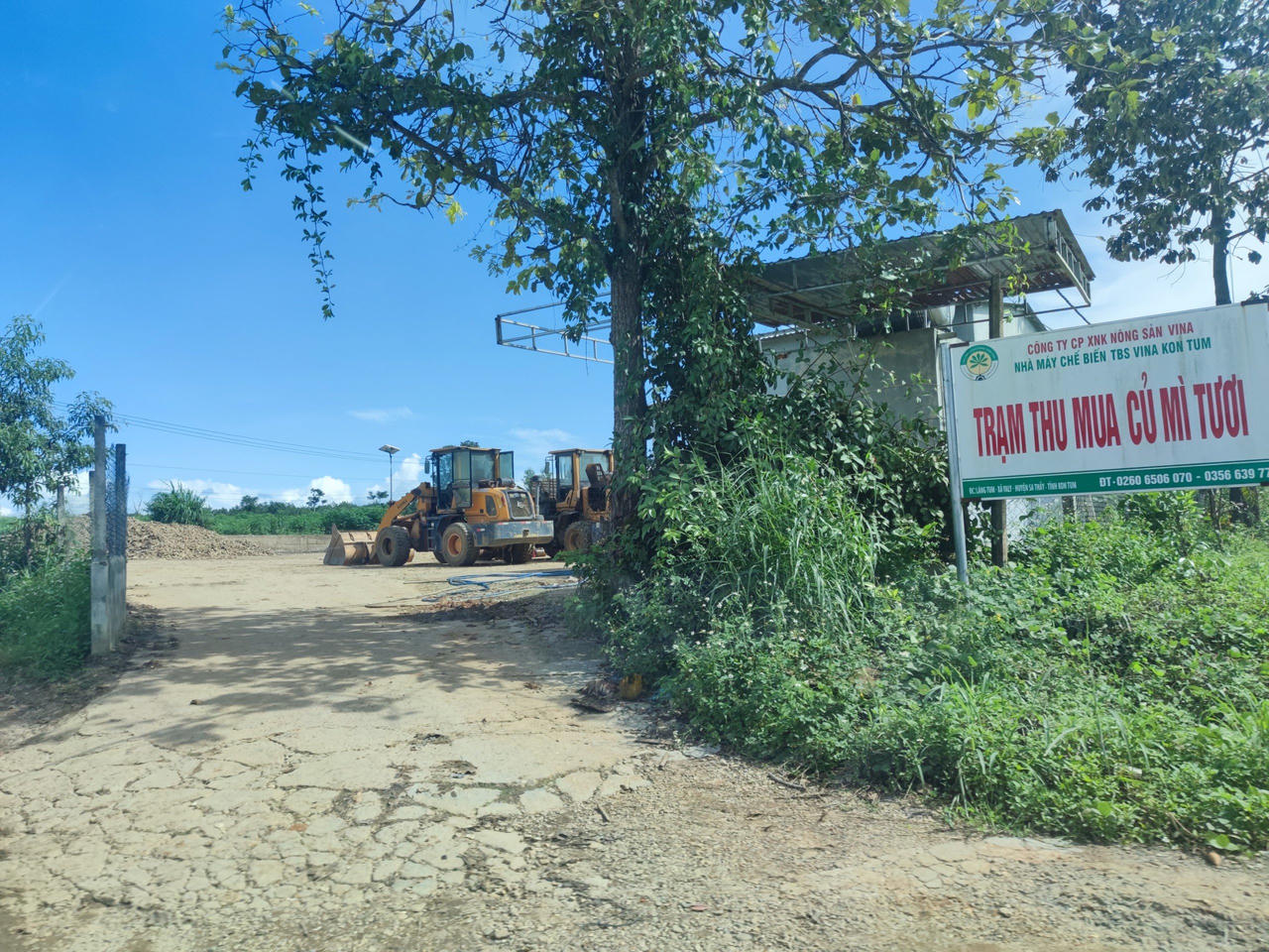 Yêu cầu dừng hoạt động các trạm cân thu mua nông sản không phép tại Kon Tum