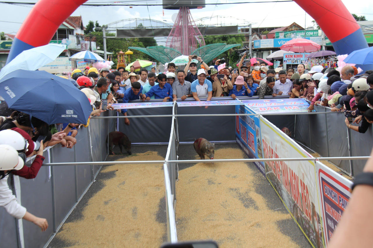 Đăk Hà (Kon Tum) tổ chức phiên chợ nông nghiệp sạch 2023