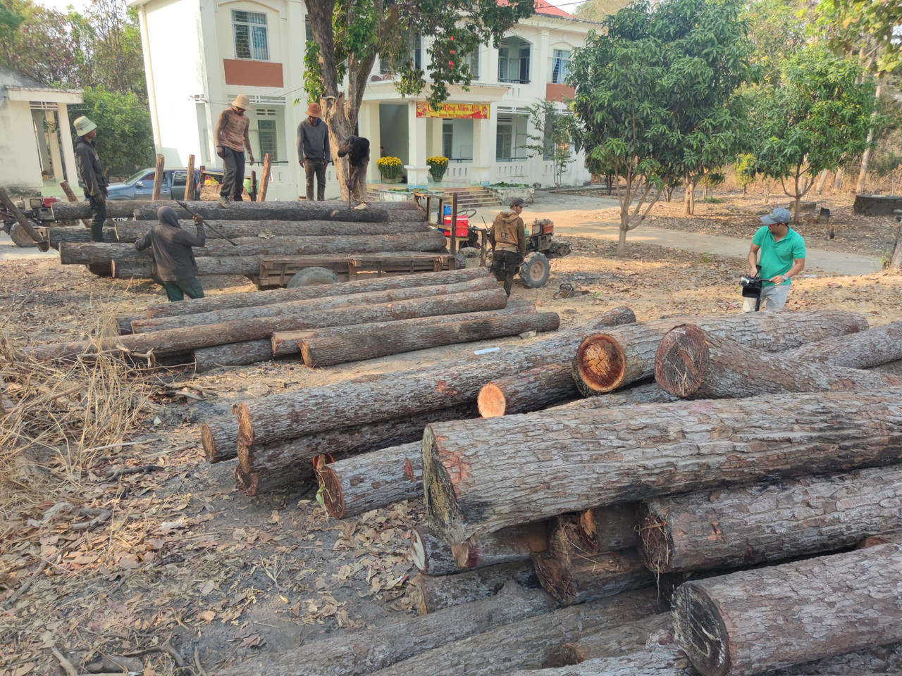 Nhóm lâm tặc chặt phá hơn 25m3 gỗ tại Chư Prông vào đêm 30 tết 