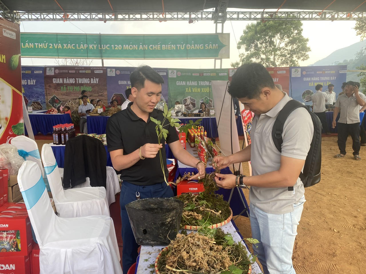 Kon Tum: Hội thi quốc tế xác lập kỷ lục Việt Nam về 120 món ăn chế biến từ sâm dây