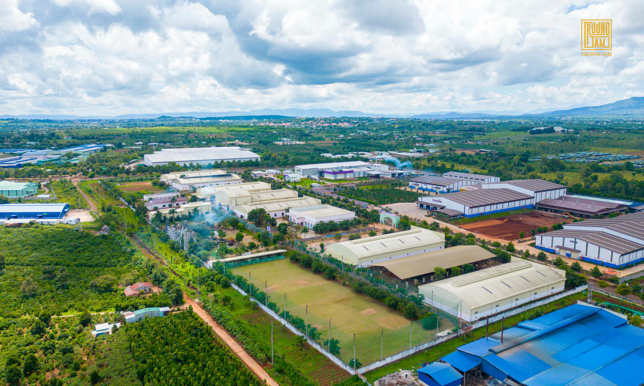 Trường Sinh Group khát vọng đưa 'quốc bảo từ đại ngàn' gần gũi hơn với người Việt