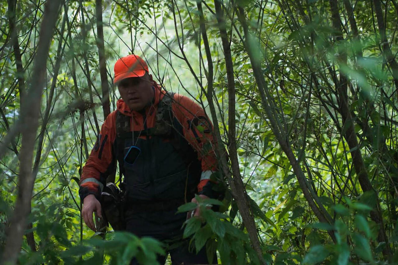 Bé 1 tuổi sống sót sau ba ngày một mình trong rừng