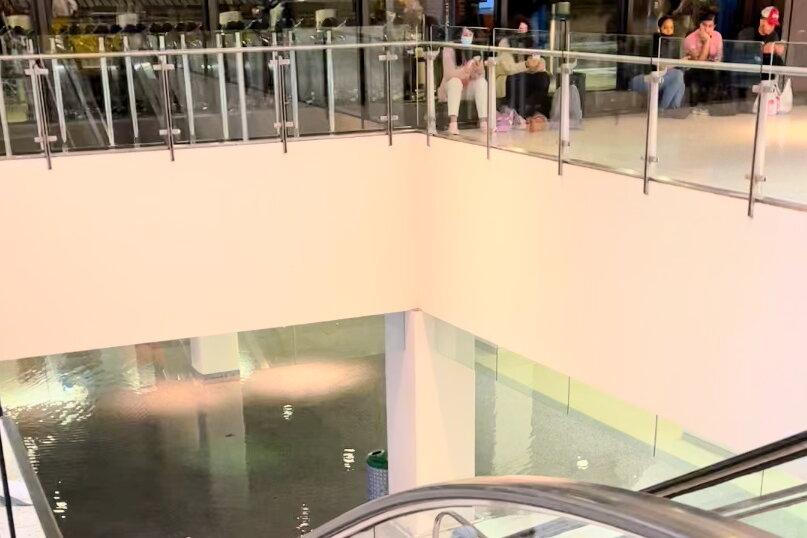 Thành phố New York ban bố tình trạng khẩn cấp do mưa, ít nhất 9 người thiệt mạng