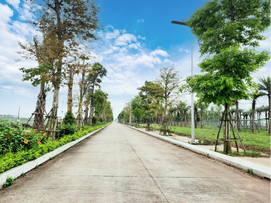 5 dự án Chủ tịch Sunshine Group công bố ra mắt năm 2024 có gì đặc biệt? 