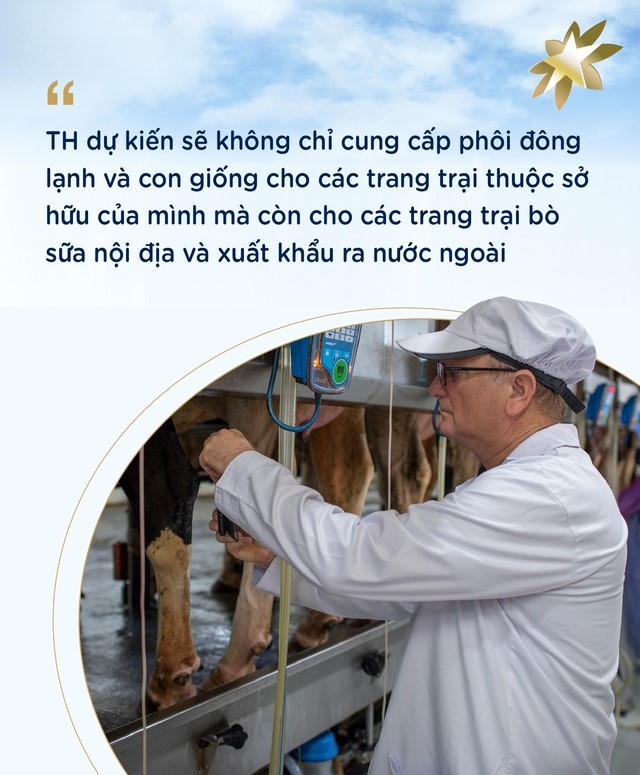Tự chủ giống bò sữa, TH góp vai trò lớn giải bài toán khó của nông nghiệp Việt