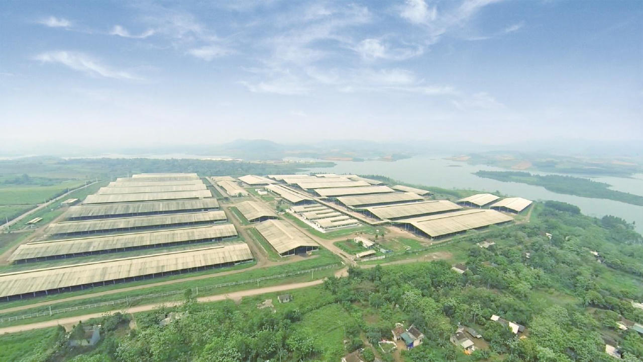 Phía sau những ly sữa tươi sạch