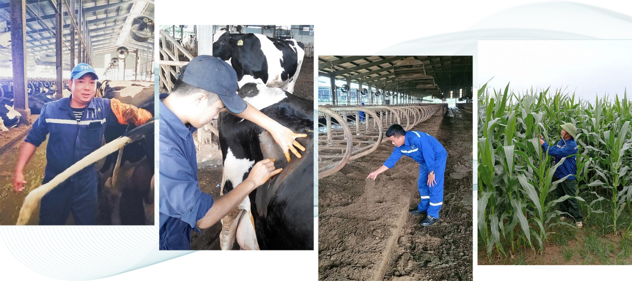 Phía sau những ly sữa tươi sạch