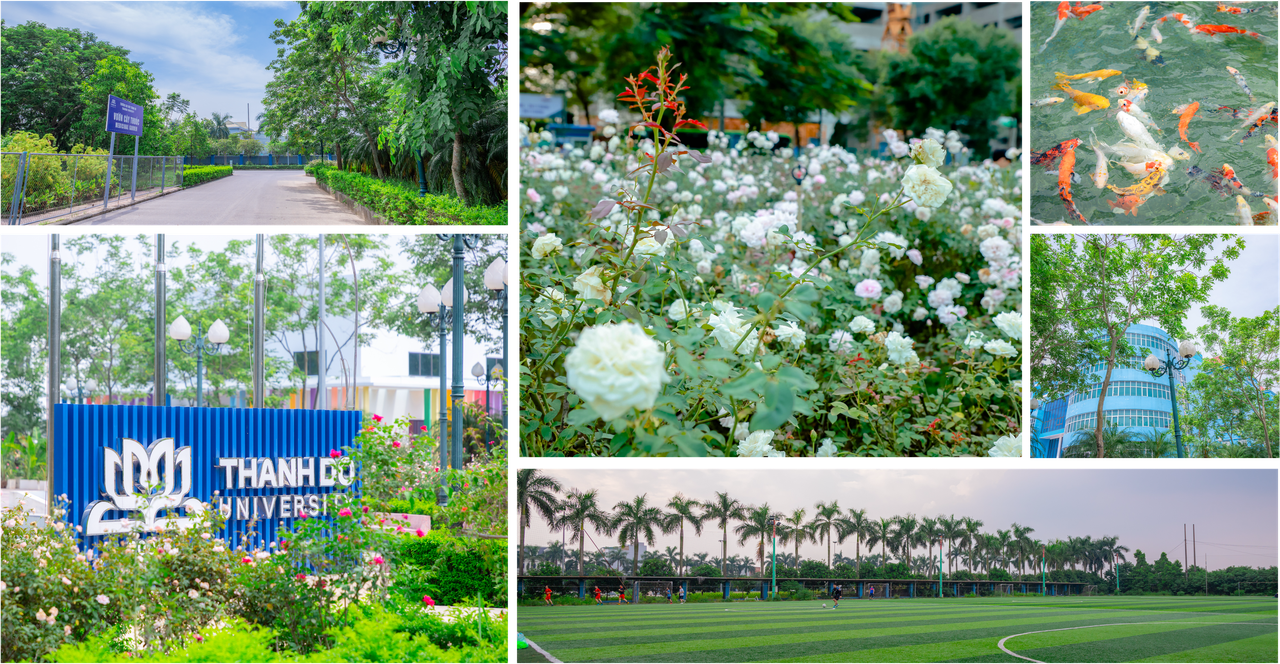 Đồng hành cùng con đăng ký xét tuyển Đại học 2024