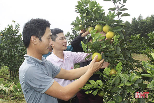 Chỉ thị số 40-CT/TW: “Đòn bẩy” phát triển kinh tế, giảm nghèo tại Hà Tĩnh