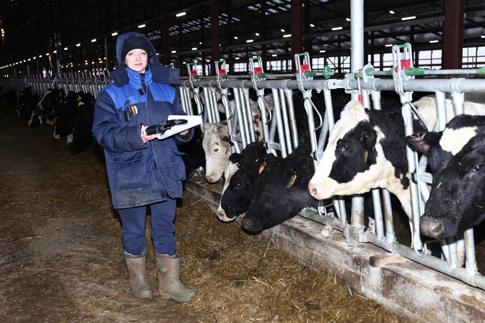 Thương hiệu Sữa tươi sạch TH true MILK sản xuất tại Nga chính thức ra mắt