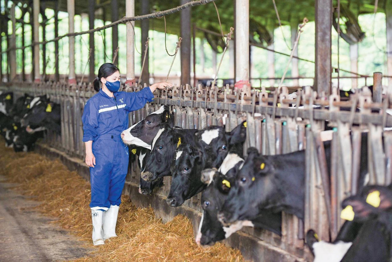 Chủ tịch HĐQT Tập đoàn TH: “Sự minh bạch là nền tảng của niềm tin”