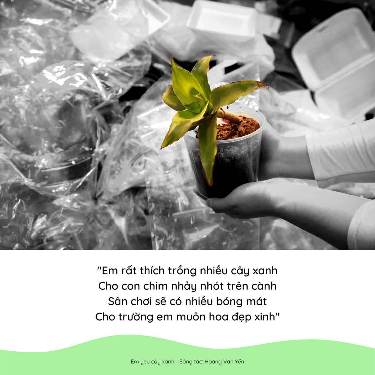 Cùng TH thúc đẩy tiêu dùng xanh và giảm rác thải nhựa với “Ngày không sử dụng túi ni-lông”