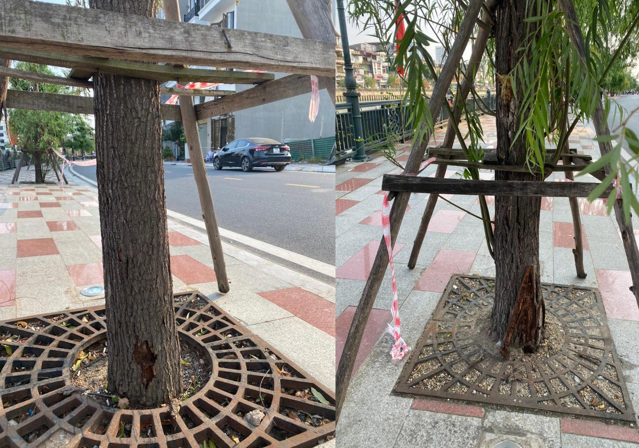 Vỉa hè sông Tam Bạc bị cong vênh do điều kiện thiên nhiên khắc nghiệt