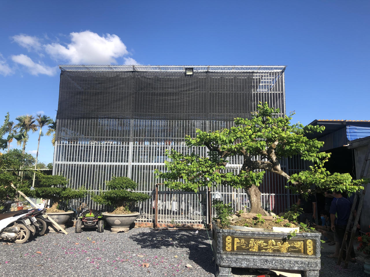 Nghi vấn mâu thuẫn từ chơi lan đột biến, anh em kết nghĩa ẩu đả, 1 người tử vong 