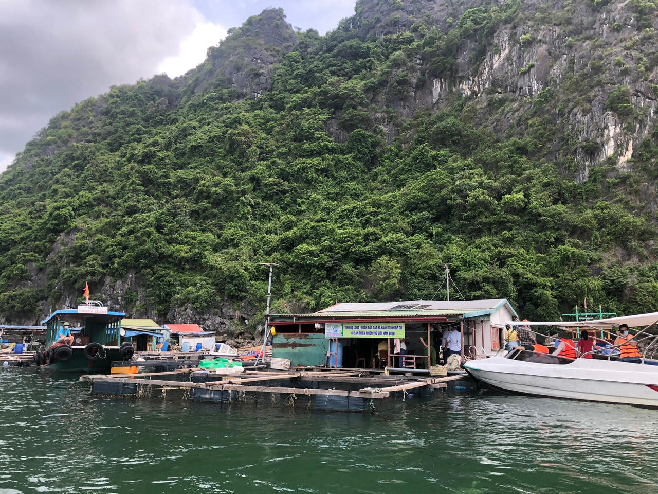 Mới có 40 chủ hộ nuôi trồng thủy sản tại Cát Hải cam kết tháo dỡ lồng bè