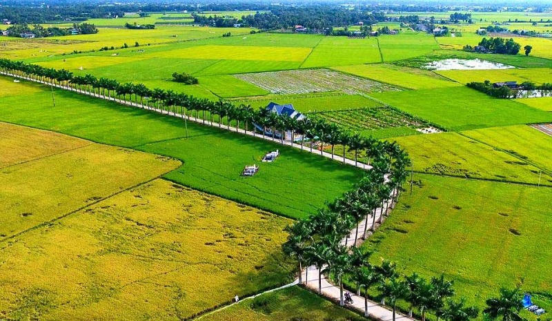 Vĩnh biệt “Trái tim màu Phượng đỏ”