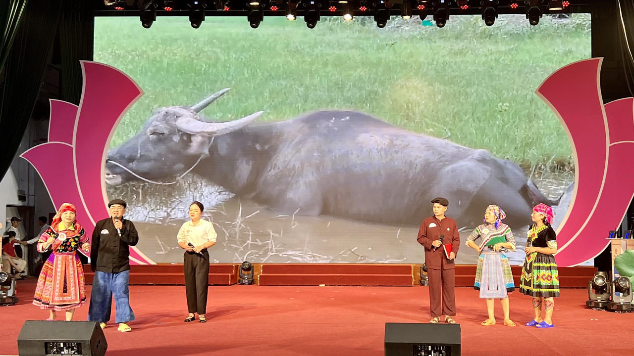 Sôi nổi các phần thi Hoà giải viên giỏi tại vòng loại miền Bắc