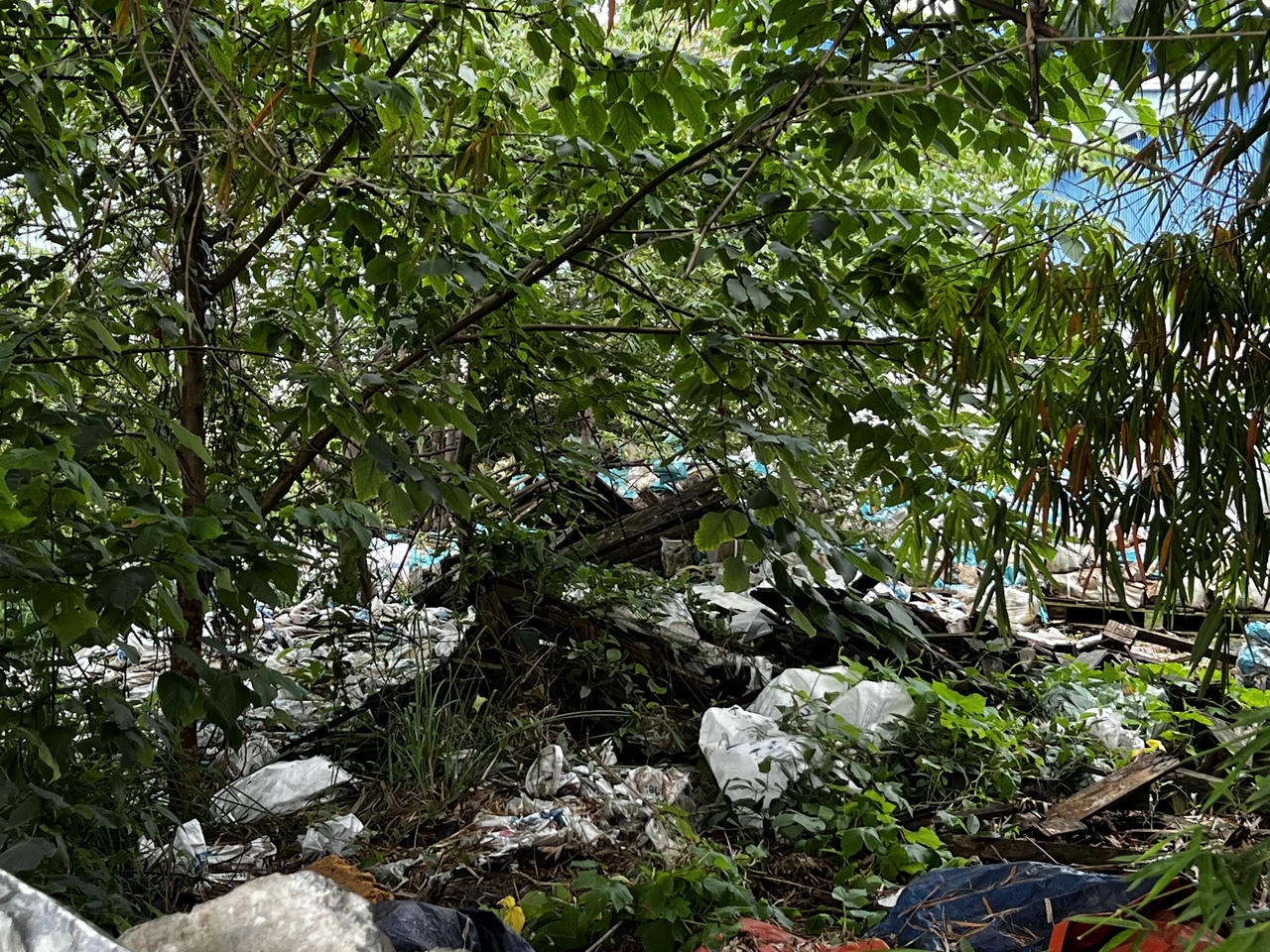 Hải Phòng “tuýt còi” hoạt động của xưởng chế biến chân gà có “ruồi bậu”