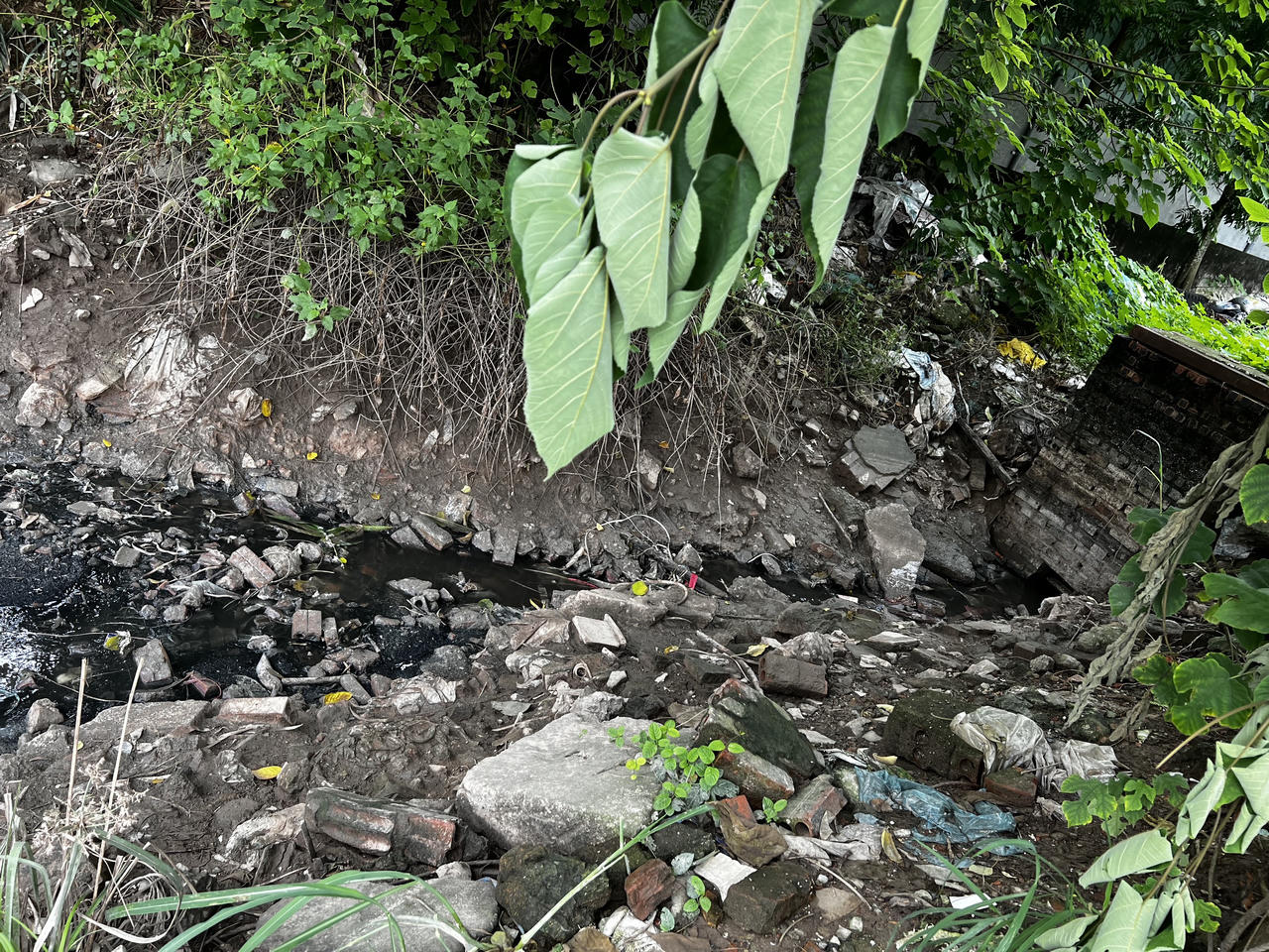 Hải Phòng “tuýt còi” hoạt động của xưởng chế biến chân gà có “ruồi bậu”