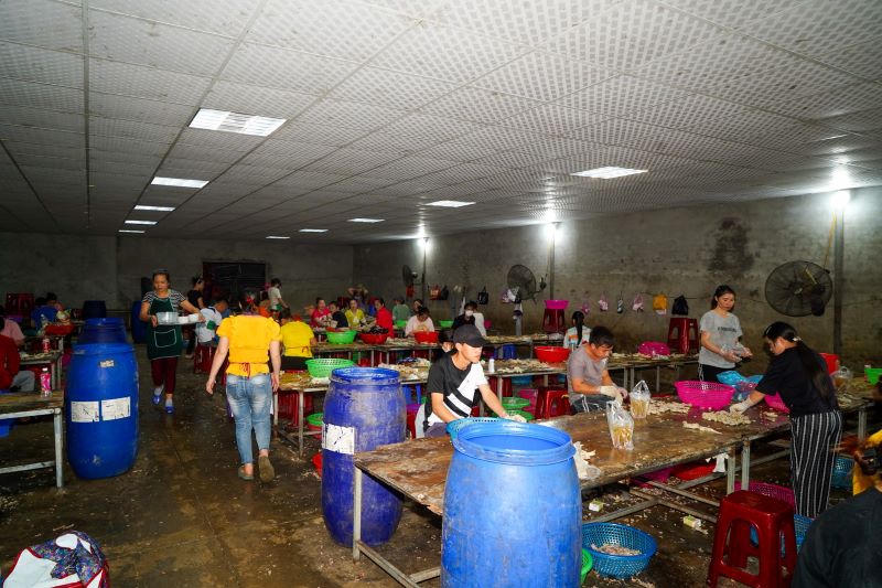 Hải Phòng “tuýt còi” hoạt động của xưởng chế biến chân gà có “ruồi bậu”