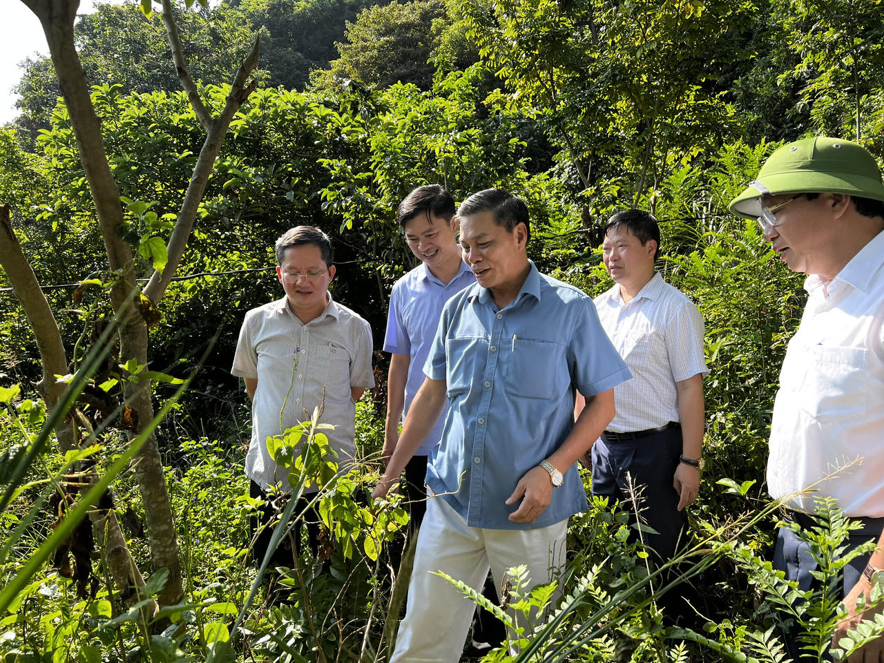 Hải Phòng sẽ đấu giá khoảng 5,6ha đất để phát triển du lịch tại huyện Cát Hải 