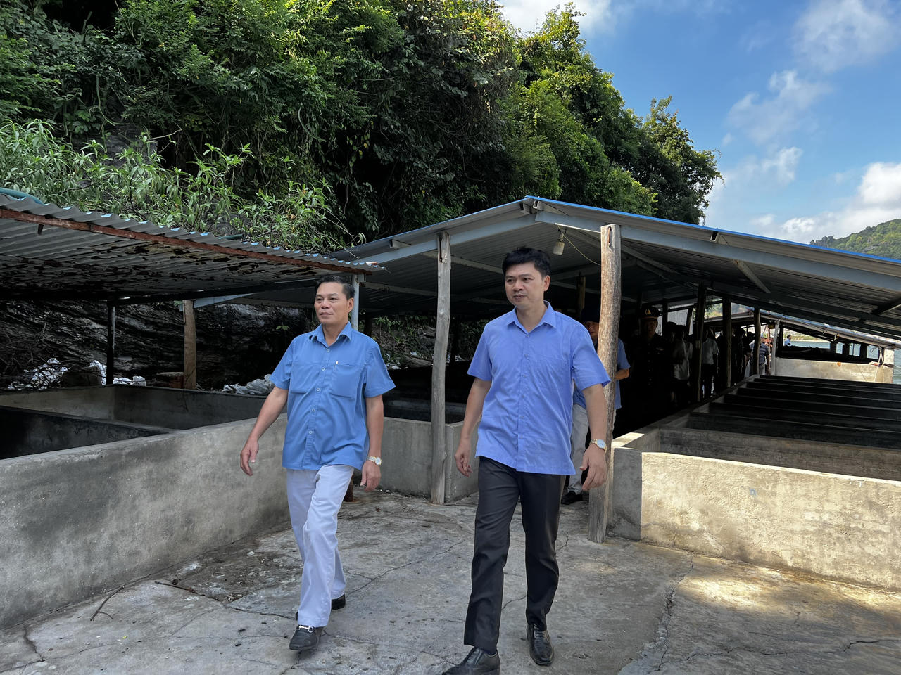 Hải Phòng sẽ đấu giá khoảng 5,6ha đất để phát triển du lịch tại huyện Cát Hải 