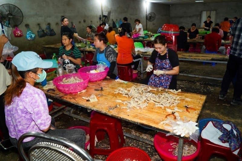 Xử phạt cơ sở chế biến, tiêu huỷ hàng tấn chân gà không đảm bảo ATVSTP