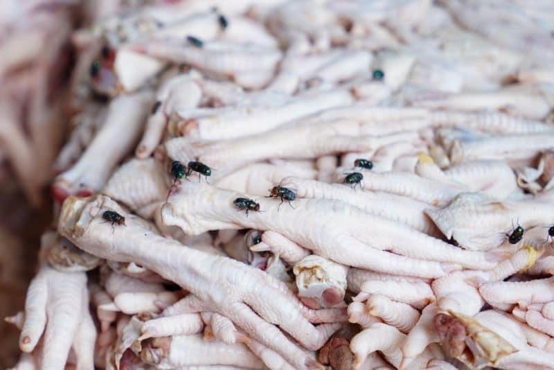 Xử phạt cơ sở chế biến, tiêu huỷ hàng tấn chân gà không đảm bảo ATVSTP