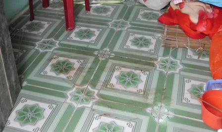 Ngáo đá, "phi công trẻ" sát hại người tình 