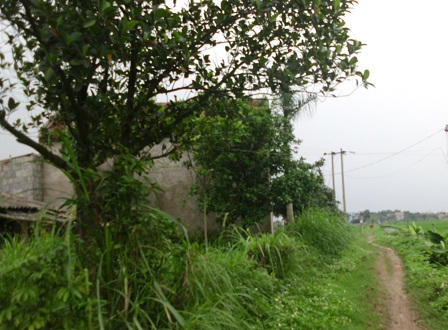 Say rượu, giả danh thầy giáo vào hiếp dâm học sinh