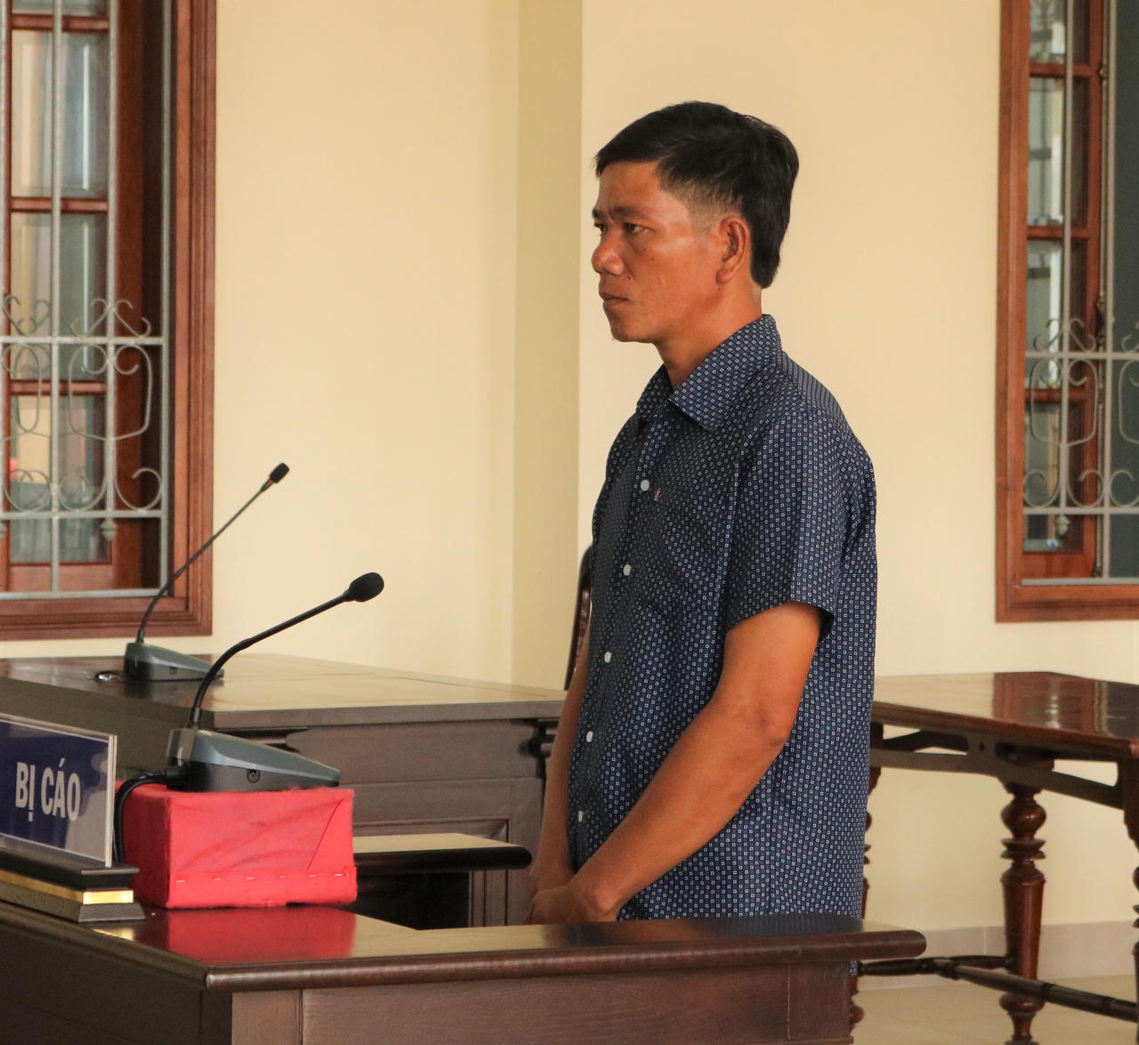 Lỡ tay kéo anh té chấn thương sọ não, em lãnh án tù