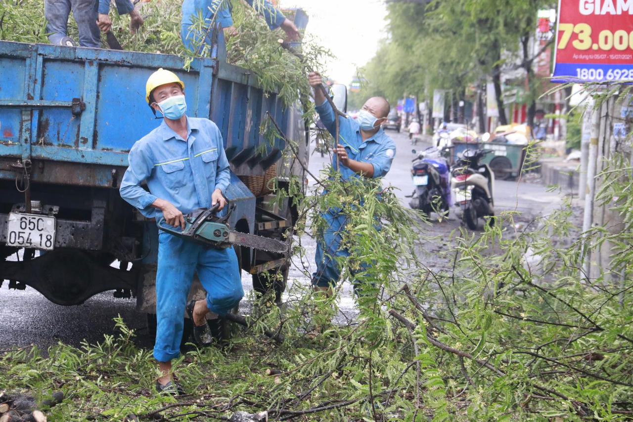Cây đổ, bảng hiệu bị "quật ngã" trong trận mưa to gió giật