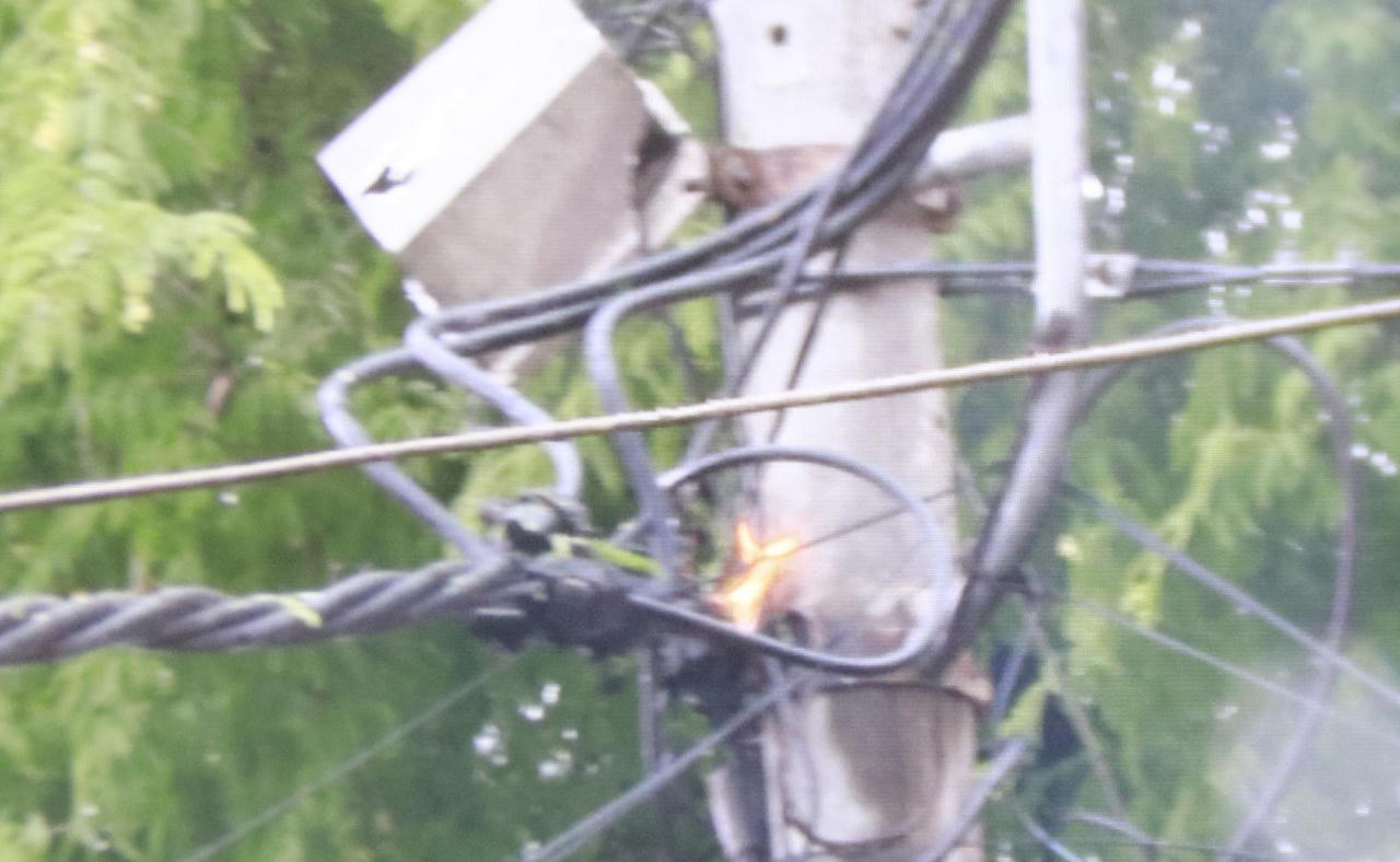 Cây đổ, bảng hiệu bị "quật ngã" trong trận mưa to gió giật