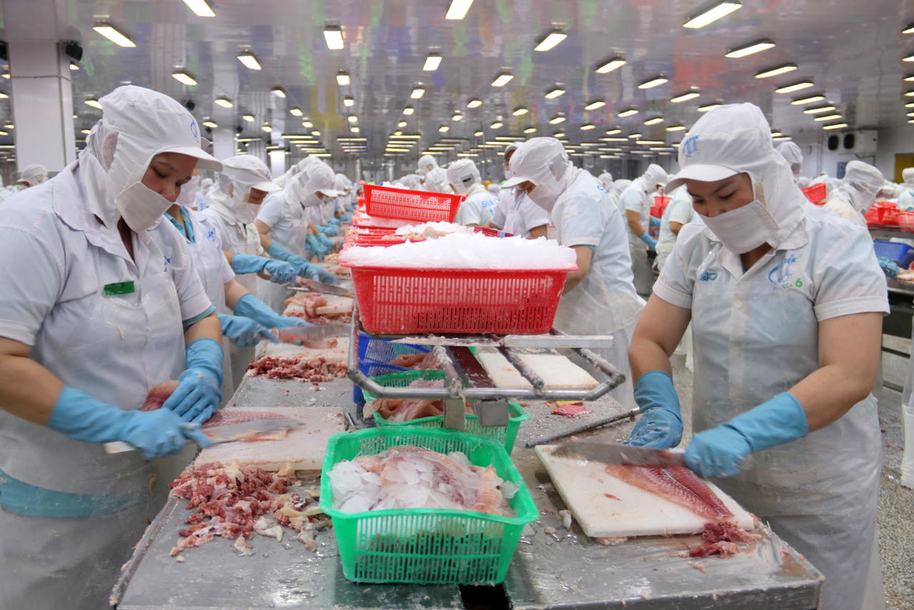 ĐBSCL: Bàn giải pháp để ngành hàng cá tra phát triển bền vững năm 2023 