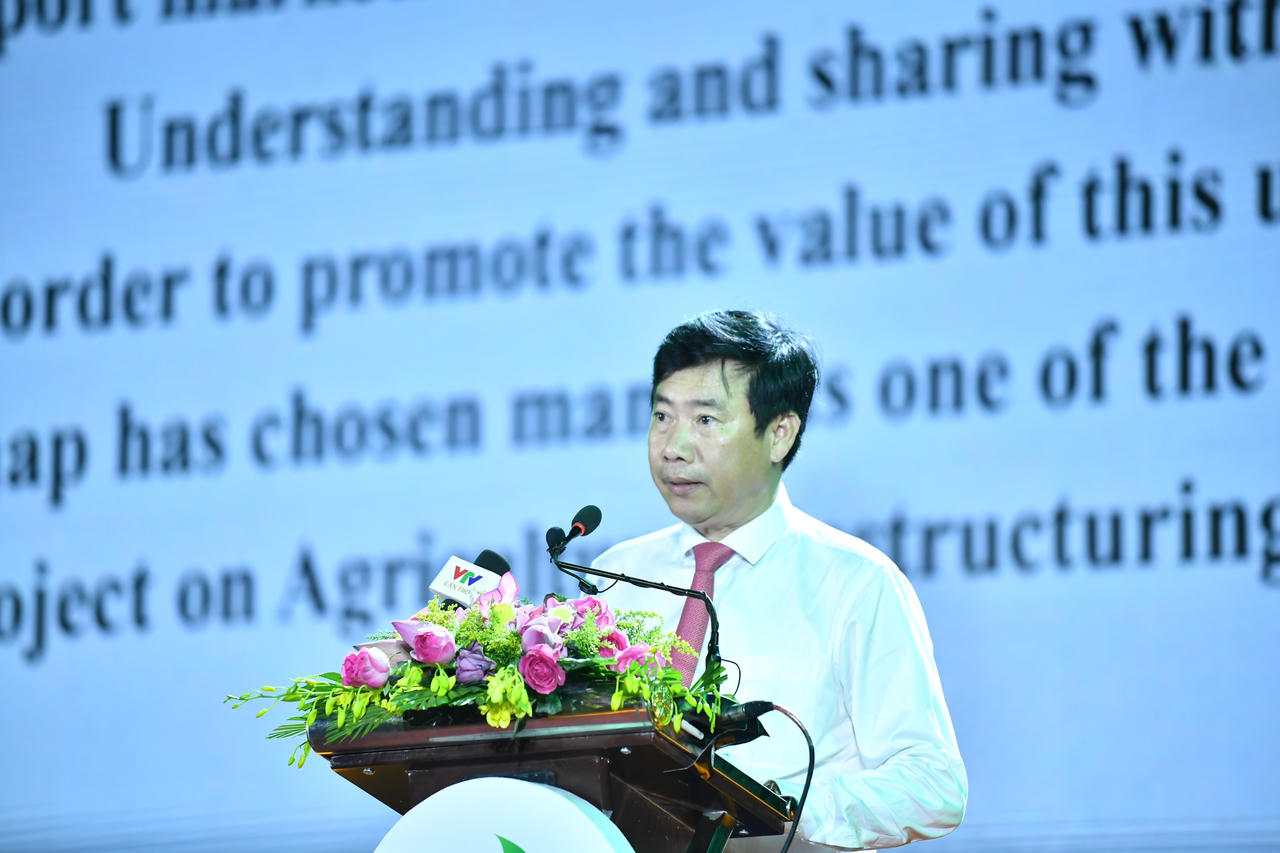 Đồng Tháp khai mạc Lễ hội Xoài năm 2023 