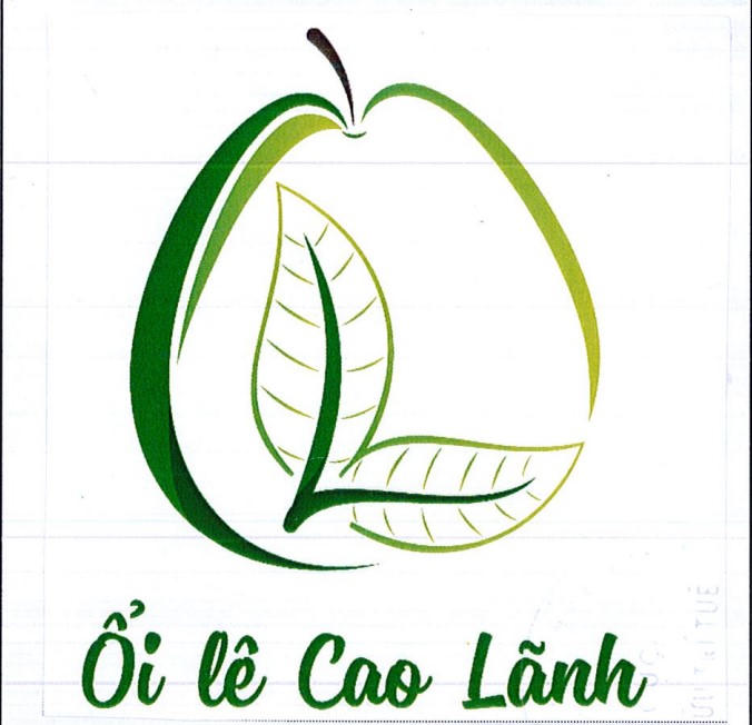 Ổi lê Cao Lãnh được cấp chứng nhận nhãn hiệu