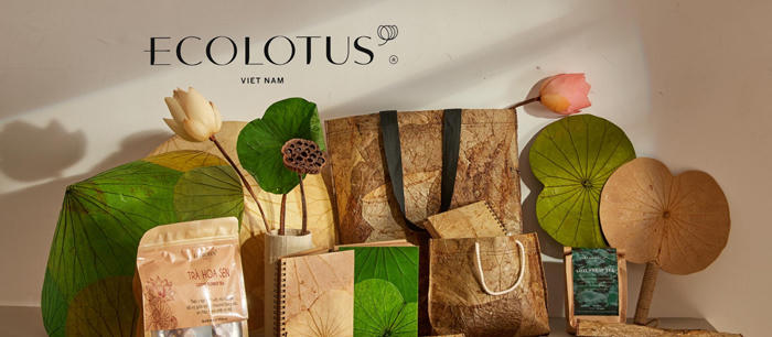 Đồng Tháp phê duyệt 2 đề tài khoa học và công nghệ về sen 