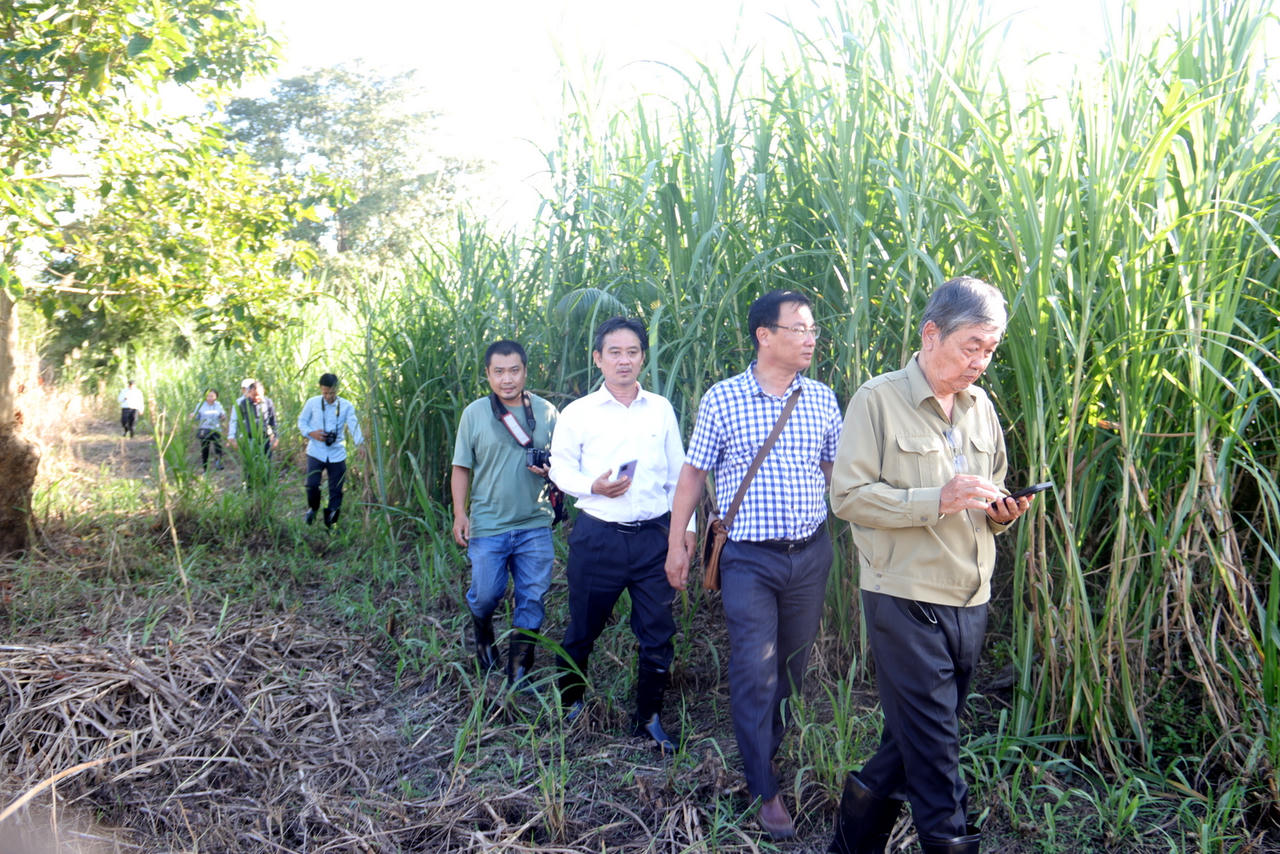 Đồng Tháp khảo sát làm rõ giá trị di tích thành cổ Bảo Tiền