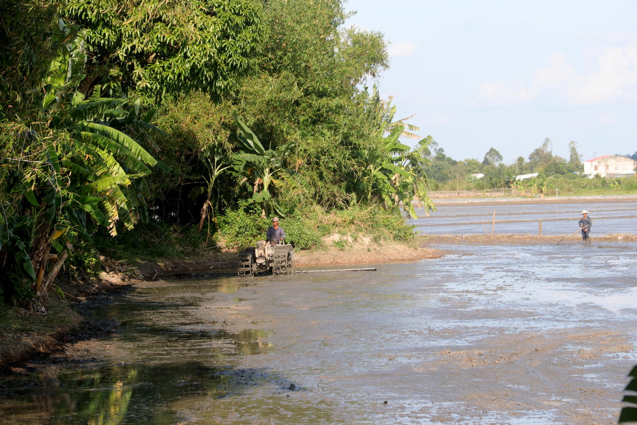 Đồng Tháp khảo sát làm rõ giá trị di tích thành cổ Bảo Tiền