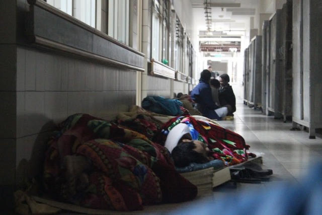 Vạ vật nuôi người thân giữa đêm đông Hà Nội