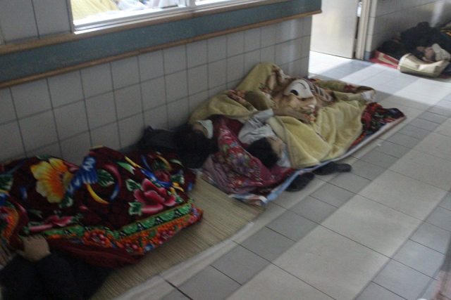 Vạ vật nuôi người thân giữa đêm đông Hà Nội