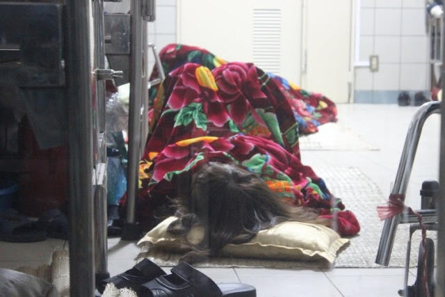 Vạ vật nuôi người thân giữa đêm đông Hà Nội