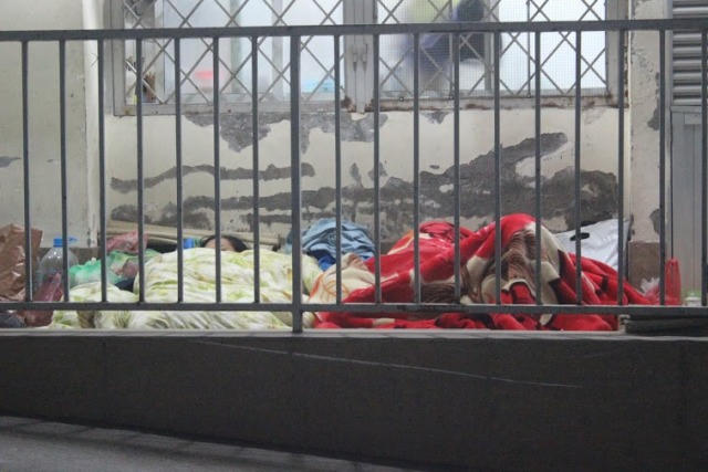 Vạ vật nuôi người thân giữa đêm đông Hà Nội