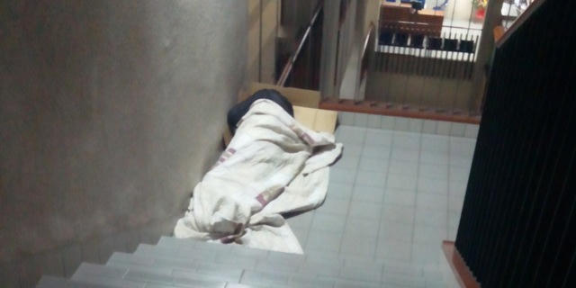 Vạ vật nuôi người thân giữa đêm đông Hà Nội