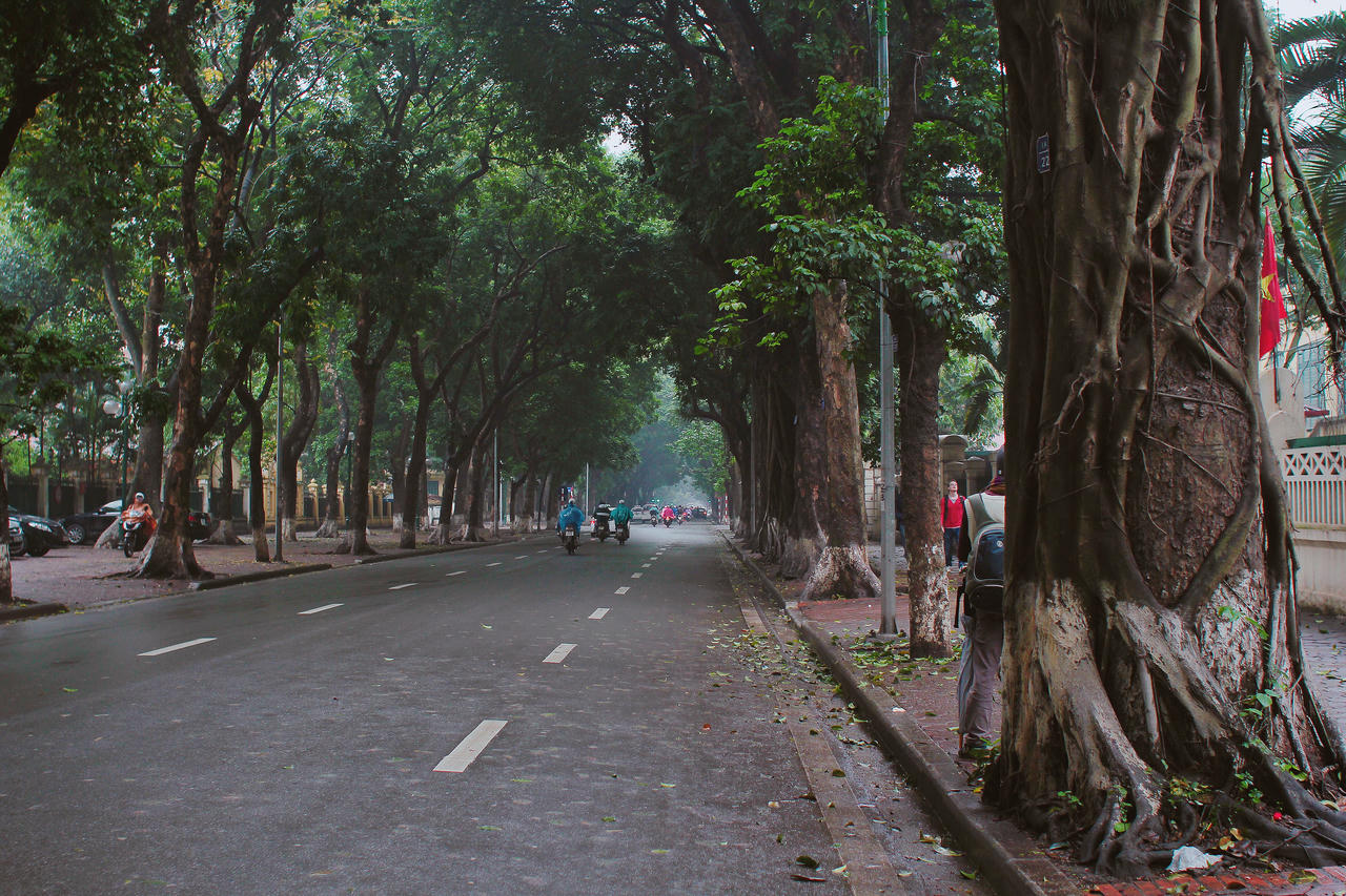 Xao xuyến với cảnh đẹp như mơ của Hà Nội