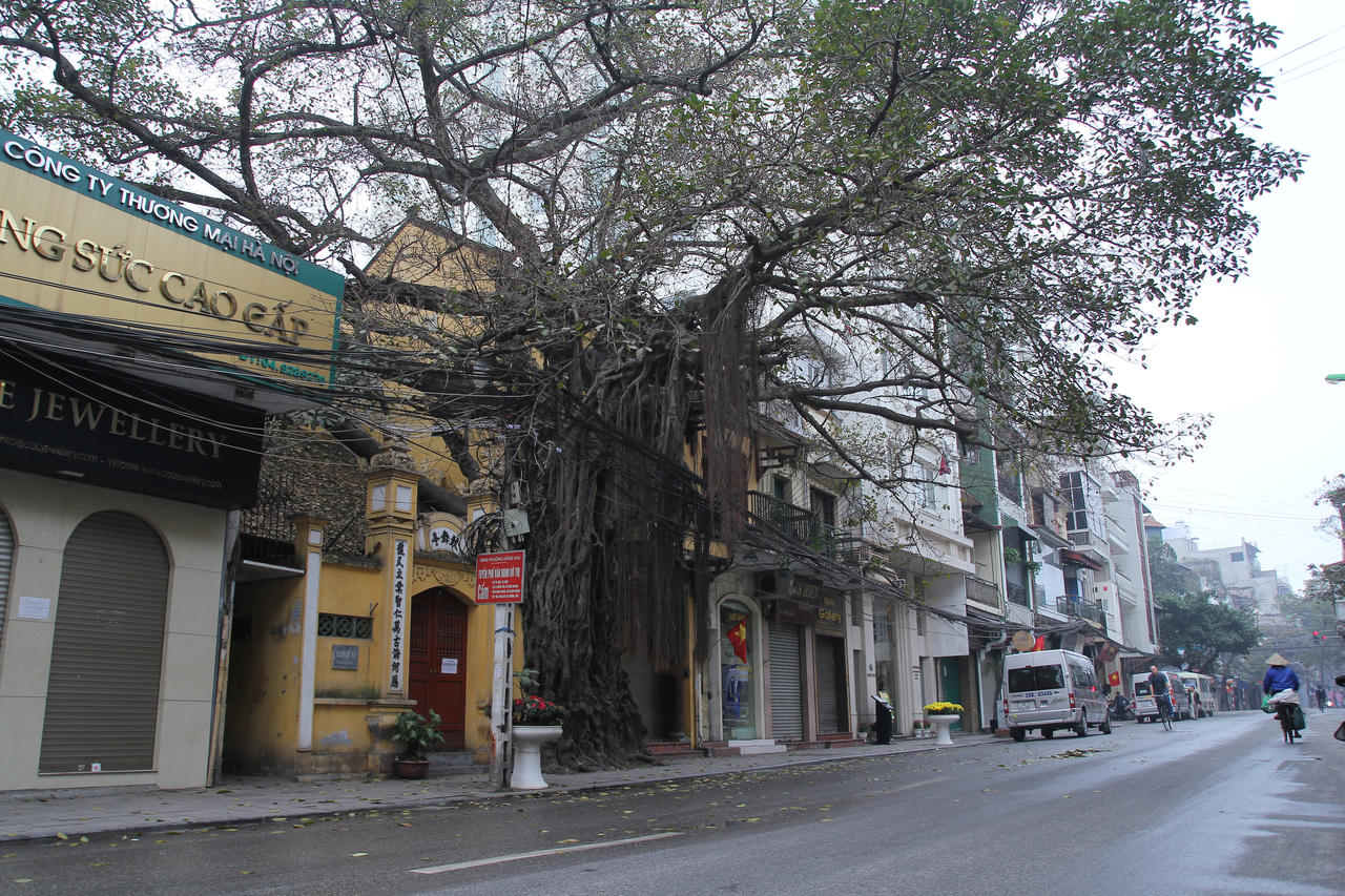 Xao xuyến với cảnh đẹp như mơ của Hà Nội