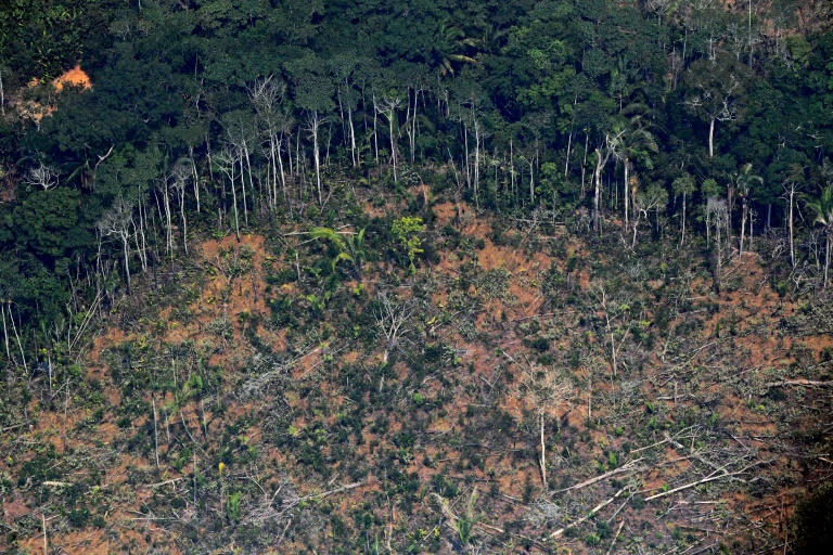 Xuất hiện hàng trăm đám cháy mới ở Amazon