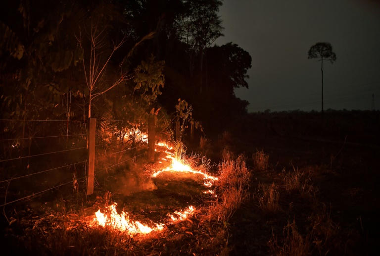 Xuất hiện hàng trăm đám cháy mới ở Amazon