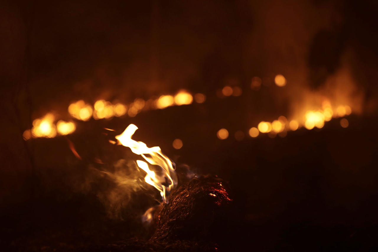 Nhói lòng cảnh Amazon nham nhở hoang tàn trong lửa dữ