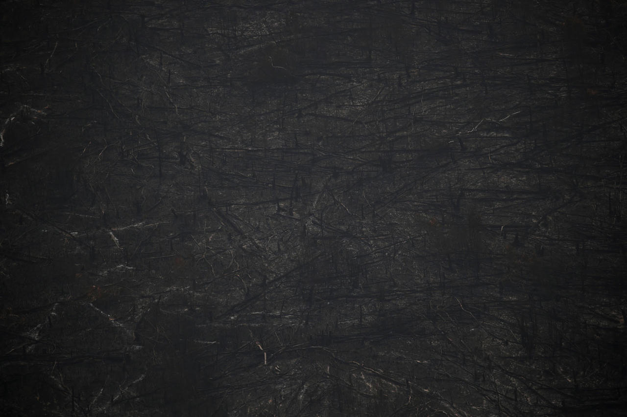 Nhói lòng cảnh Amazon nham nhở hoang tàn trong lửa dữ